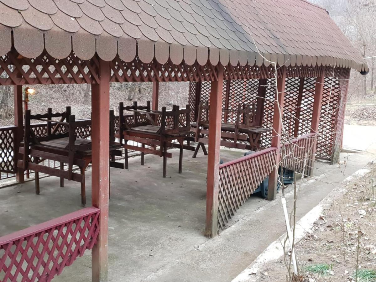 Pensiunea Lucica Sacelu Luaran gambar