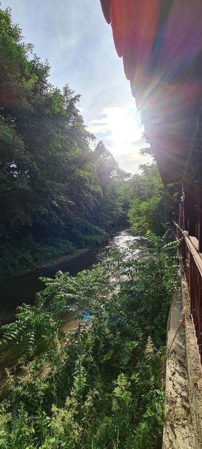 Pensiunea Lucica Sacelu Luaran gambar