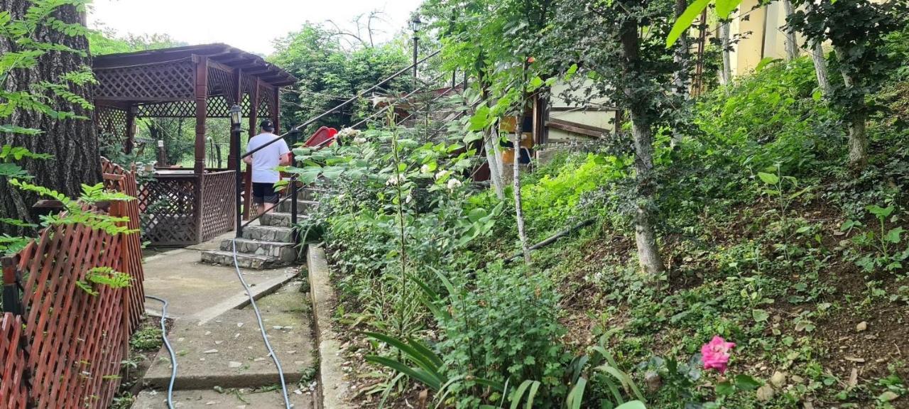 Pensiunea Lucica Sacelu Luaran gambar